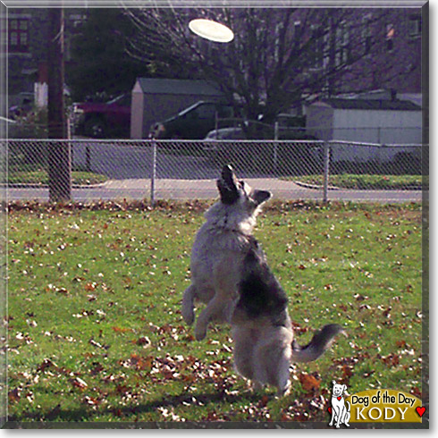 Kody Grace, the Dog of the Day