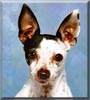 Peanut