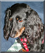 DaisyMae