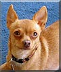 Juanita