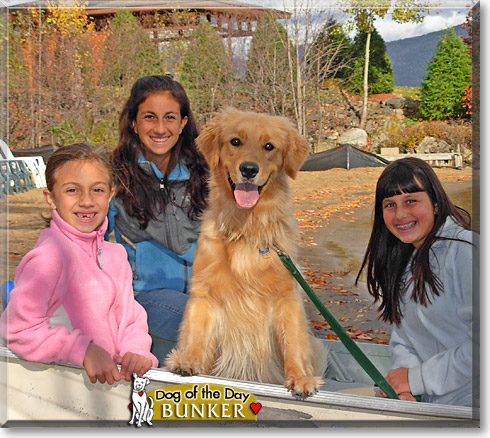 Bunker, the Dog of the Day