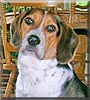 Ben