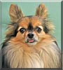 Chiquita
