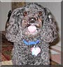 Charlie