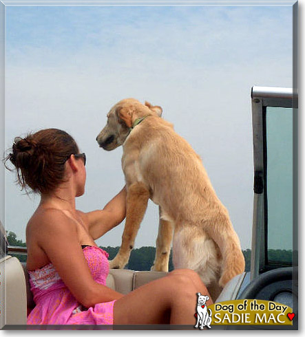 Sadie Mac, the Dog of the Day