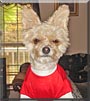 Rosco