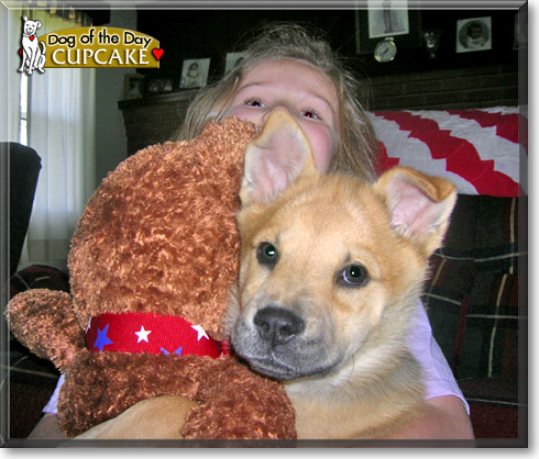 Cupcake, the Dog of the Day