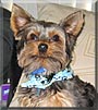 Frankie