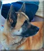 Duke