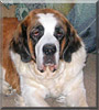 Gracie