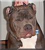 Zeus