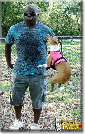 Jayda, the Dog of the Day