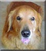 Buddy