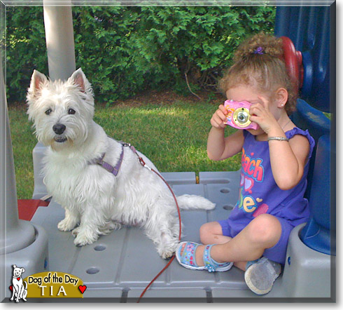 Tia, the Dog of the Day Tia, the Dog of the Day