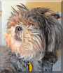 Woofy