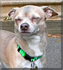Yoda
