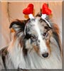 Holly