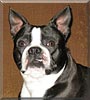 Frankie