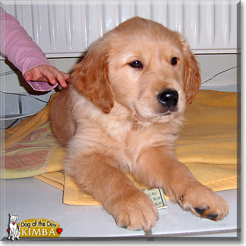 Kimba, the Dog of the Day