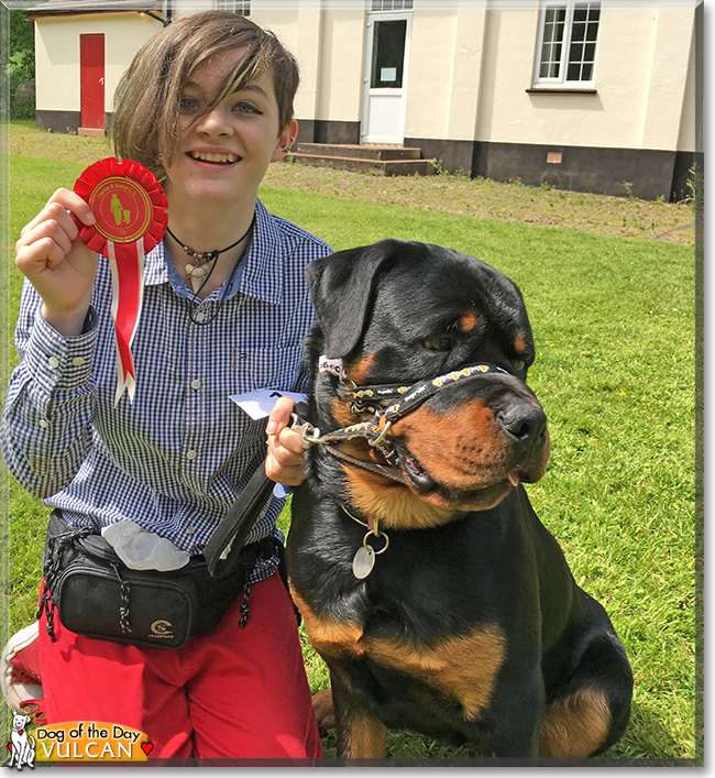 Vulcan the Rottweiler, the Dog of the Day